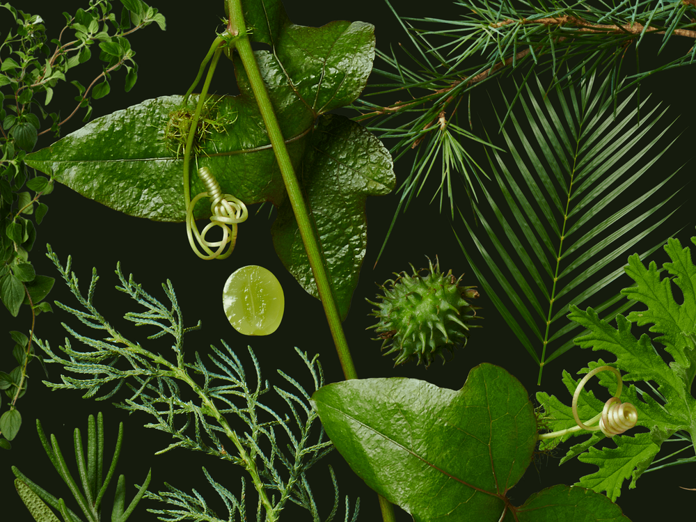 コンセプト画像